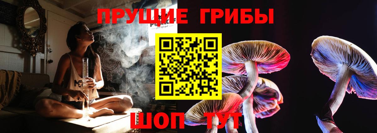 Галлюциногенные грибы мухоморы Кудымкар