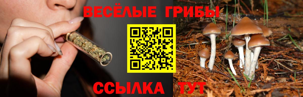 Псилоцибиновые грибы мицелий  Вход с VPN  Кудымкар  Галлюциногенные грибы GOLDEN TEACHER 