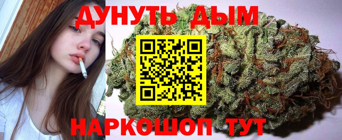 Конопля сатива Кудымкар